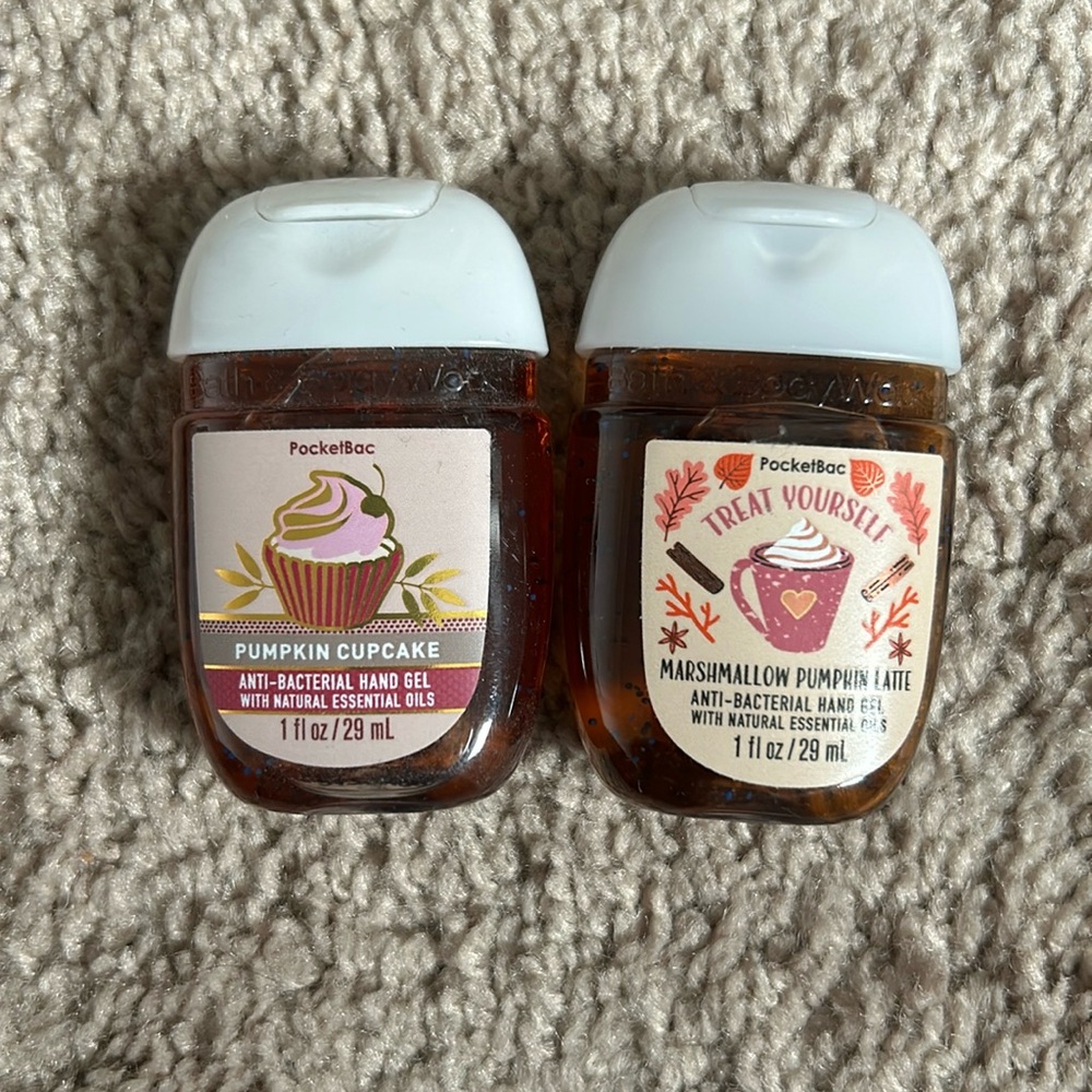 Bath and body works hand sanizer